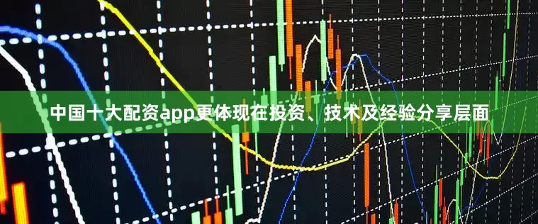 中国十大配资app更体现在投资、技术及经验分享层面