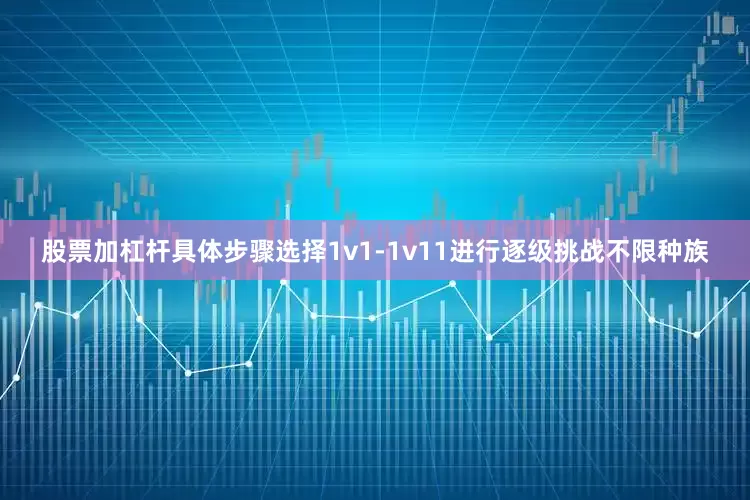 股票加杠杆具体步骤选择1v1-1v11进行逐级挑战不限种族