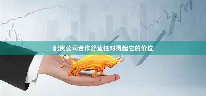 配资公司合作舒适性对得起它的价位